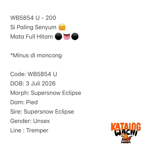 WB5854 U | Si Paling Senyum 🤗 Mata Full Hitam ⚫️👅⚫️