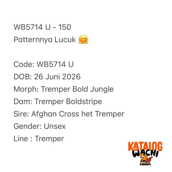 WB5714 U | Patternnya Lucuk 🤗