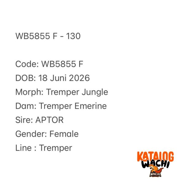 WB5855 F