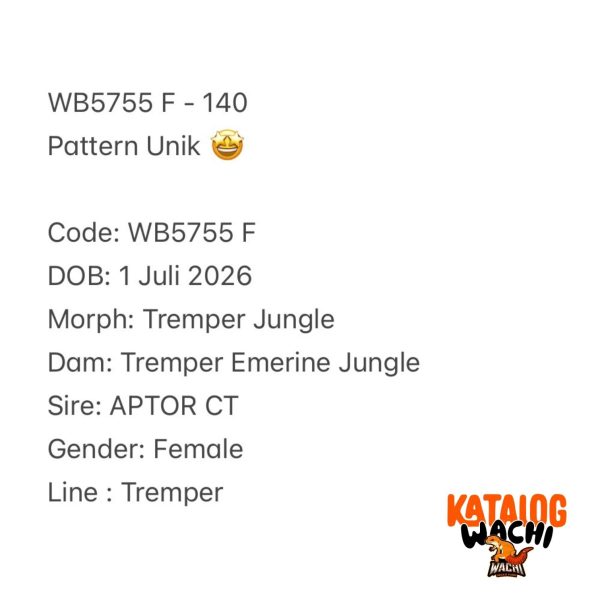 WB5755 F | Pattern Unik 🤩
