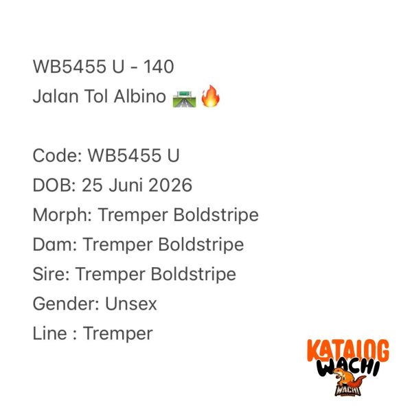 WB5455 U | Jalan Tol Albino 🛣️🔥