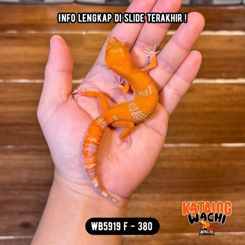 56 WB5919 F | Es Jeruk Menyala 🍊🔥