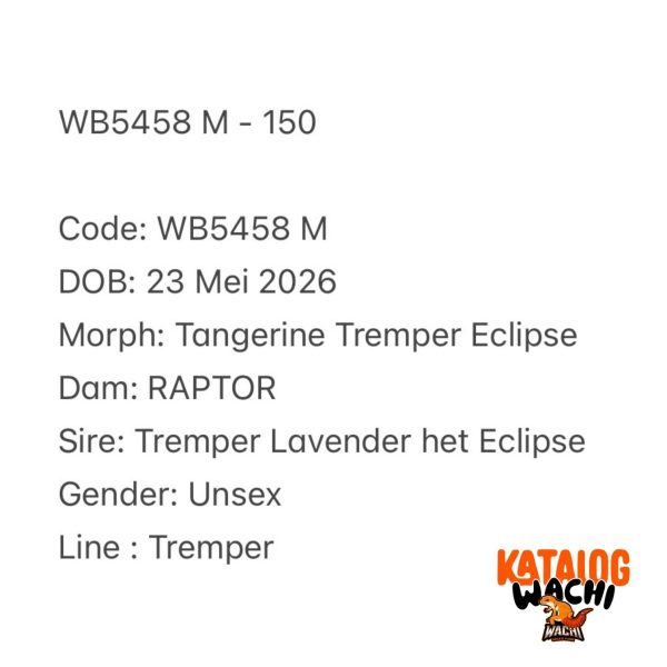 WB5458 M