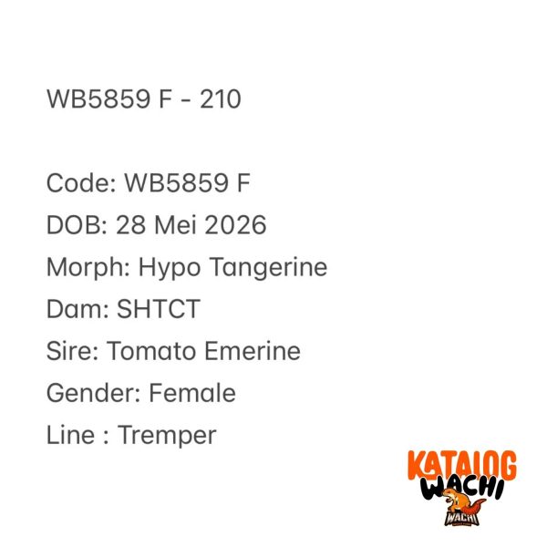 WB5859 F