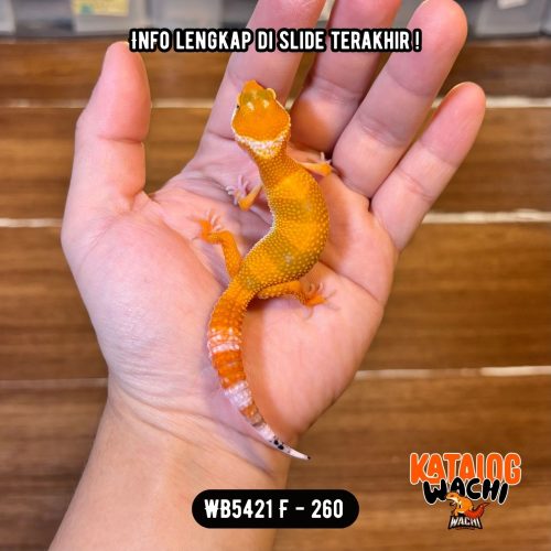 WB5421 F | Es Jeruk Classic 🍊👌🏻