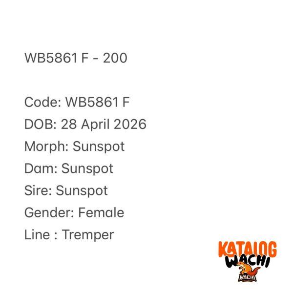WB5861 F