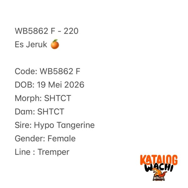 WB5862 F | Es Jeruk 🍊