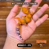 WB5823 F | Jeruk Cakep 🍊