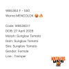 WB5363 F | Warna MENCOLOK 🥵🔥