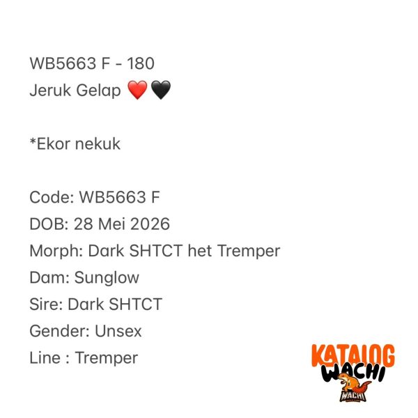 WB5663 F | Jeruk Gelap ❤️🖤