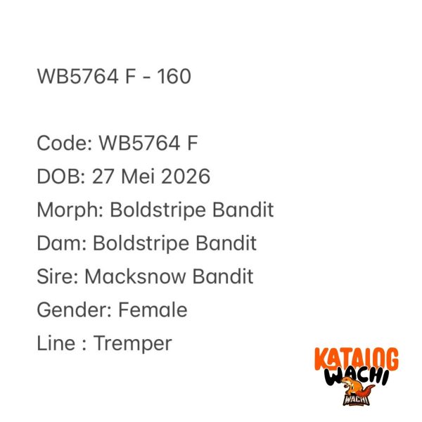 WB5764 F