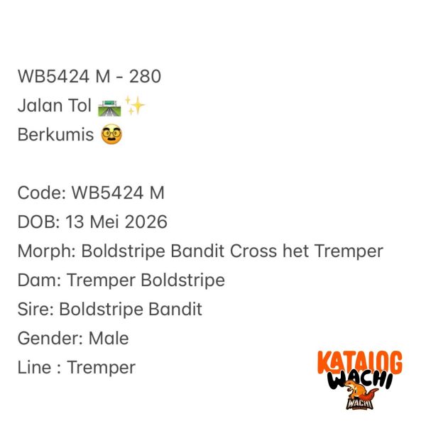 WB5424 M | Jalan Tol 🛣️✨ Berkumis 🥸