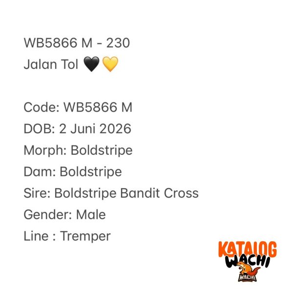 WB5866 M | Jalan Tol 🖤💛