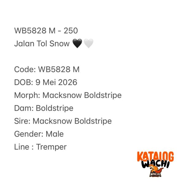 WB5828 M | Jalan Tol Snow 🖤🤍
