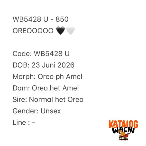 WB5428 U | OREOOOOO 🖤🤍