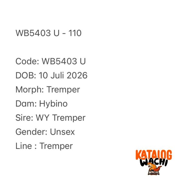 WB5403 U