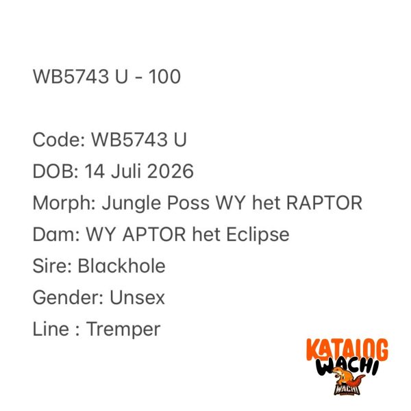 WB5743 U