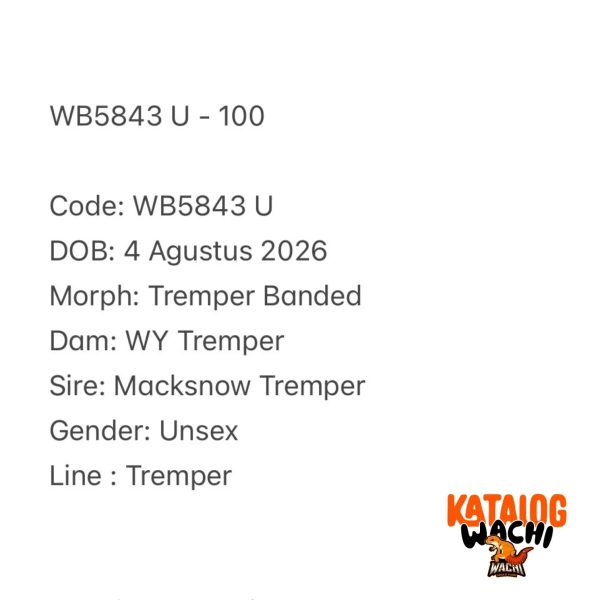 WB5843 U