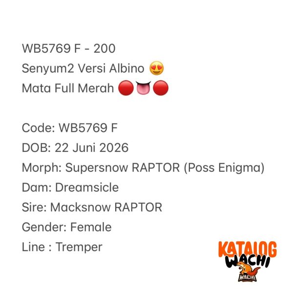 WB5769 F | Senyum2 Versi Albino 😍 Mata Full Merah 🔴👅🔴