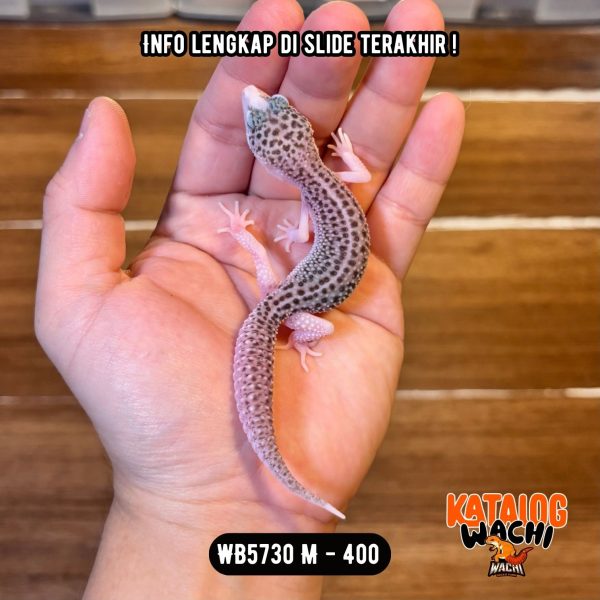 WB5730 M | Si Paling Senyum 🤗 Mata Full Hitam ⚫️👅⚫️