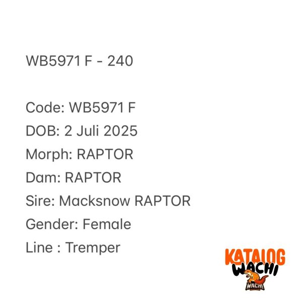 WB5971 F