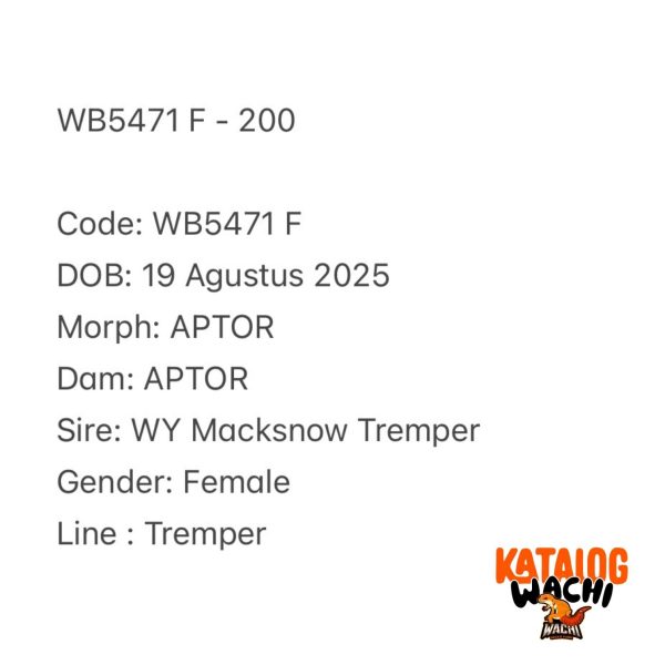 WB5471 F