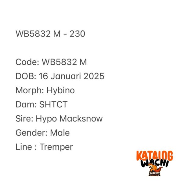 WB5832 M