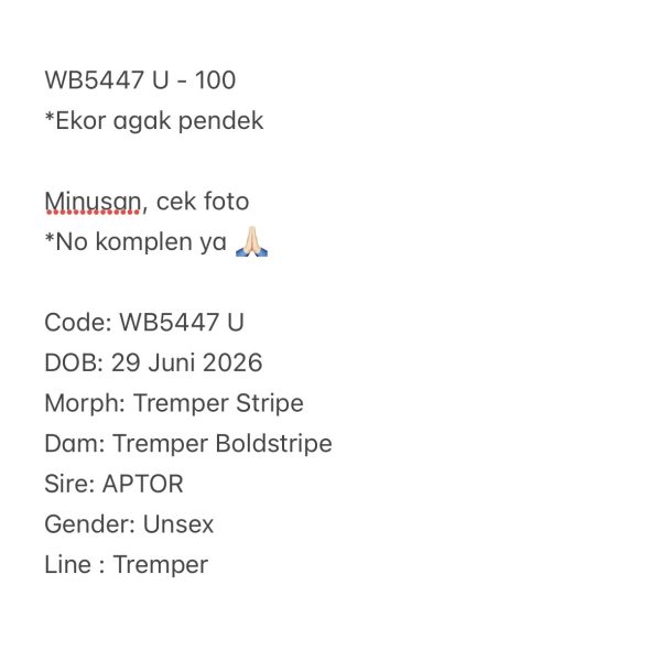 WB5447 U