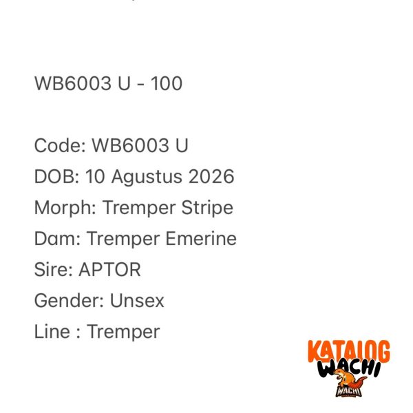 WB6003 U