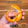 WB6334 M | Cosplay Charizard 🔥