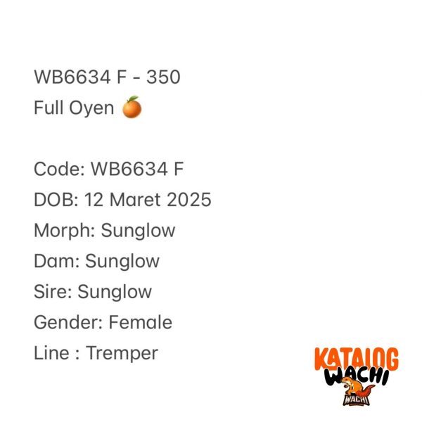 WB6634 F | Full Oyen 🍊