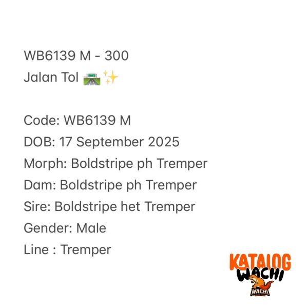 WB6139 M | Jalan Tol 🛣️✨