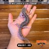 WB6339 F | Senyum2 🥹 Mata Full Hitam ⚫️👅⚫️