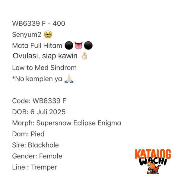 WB6339 F | Senyum2 🥹 Mata Full Hitam ⚫️👅⚫️