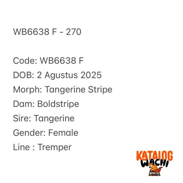 WB6638 F