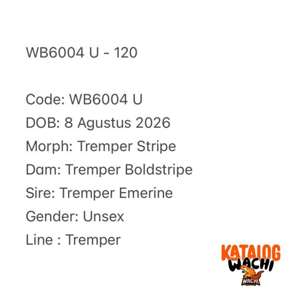 WB6004 U