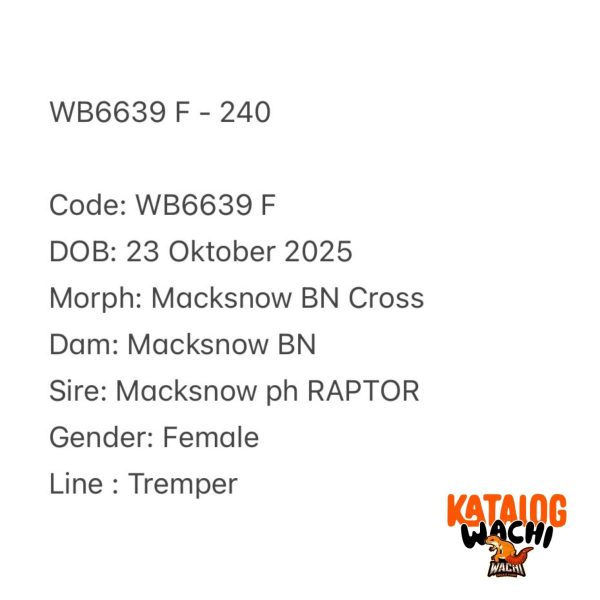 WB6639 F