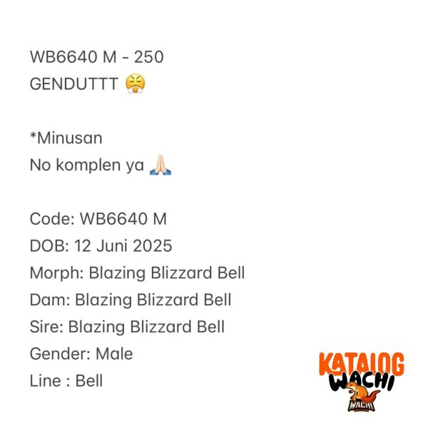 WB6640 M | GENDUTTT 😤