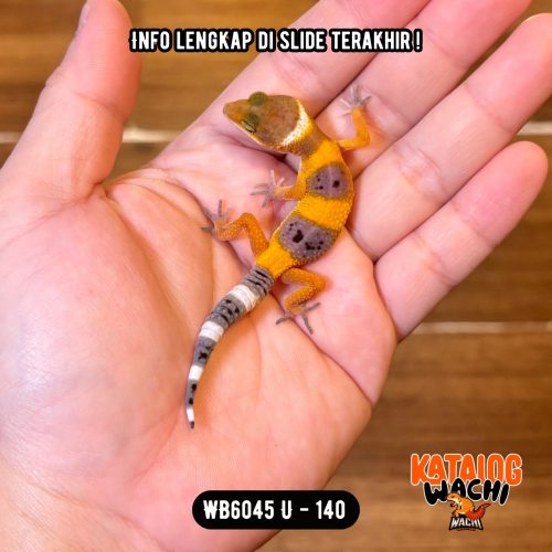 WB6045 U