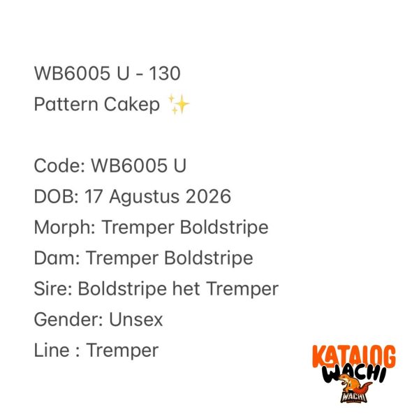 WB6005 U | Pattern Cakep ✨