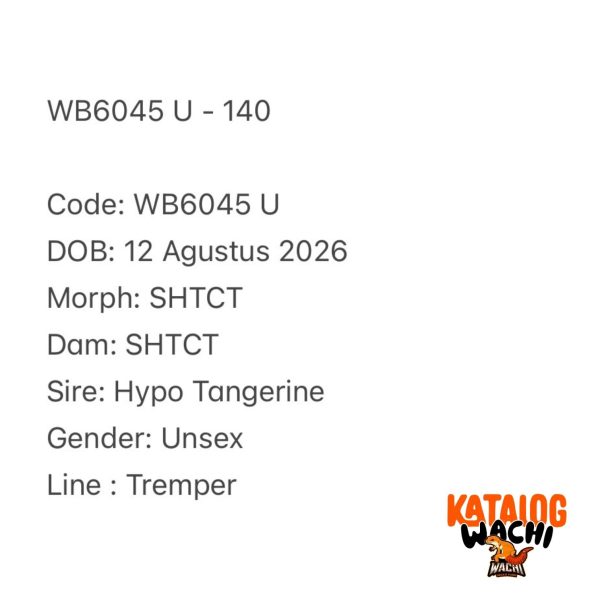 WB6045 U