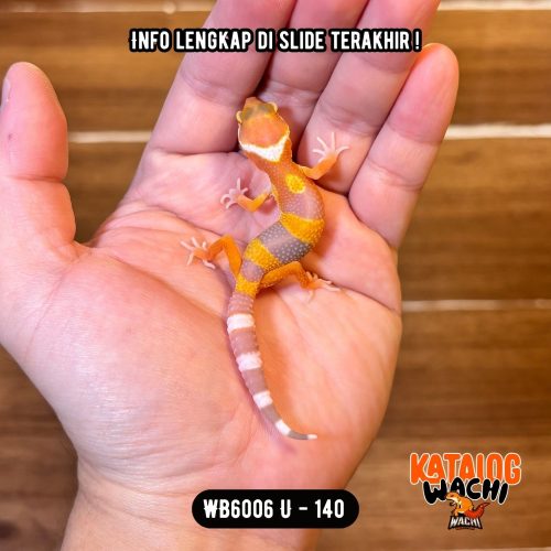 17 WB6006 U | Baby Jeruk 🍊