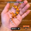 WB6406 U | Baby Jeruk Cakep 🍊🔥