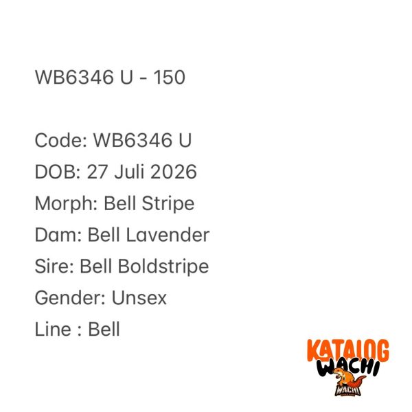 WB6346 U