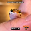 WB6407 U | Jeruk Lebah 🍊🐝