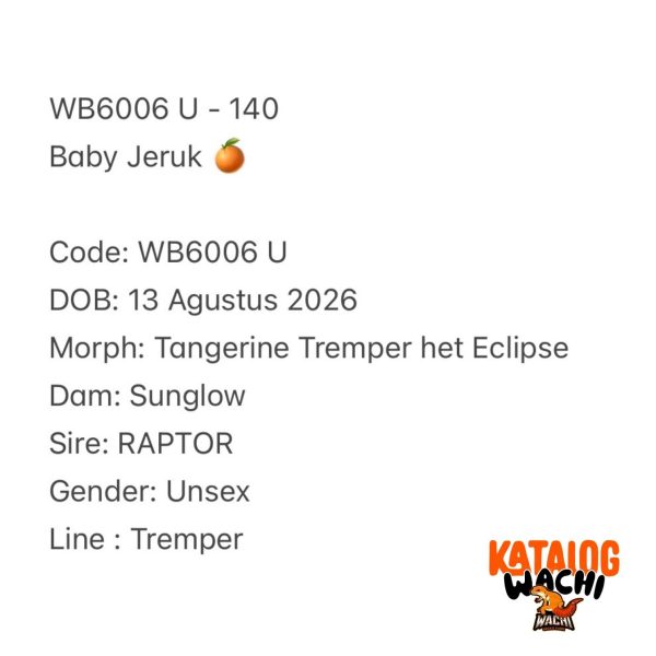 WB6006 U | Baby Jeruk 🍊
