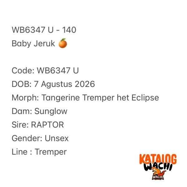 WB6347 U | Baby Jeruk 🍊