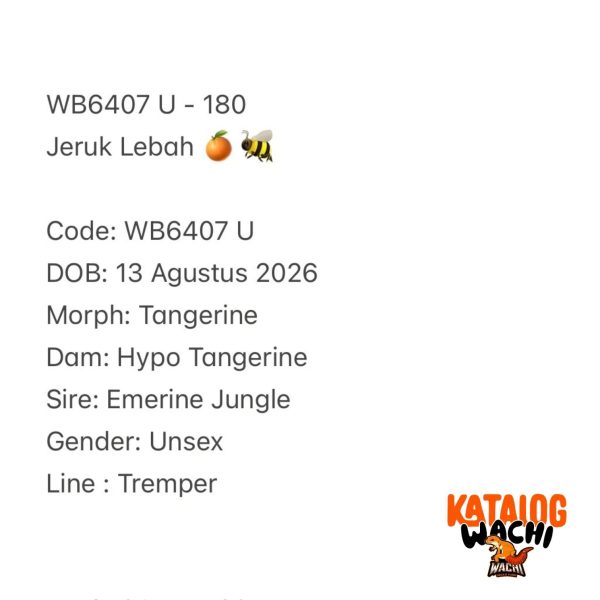WB6407 U | Jeruk Lebah 🍊🐝