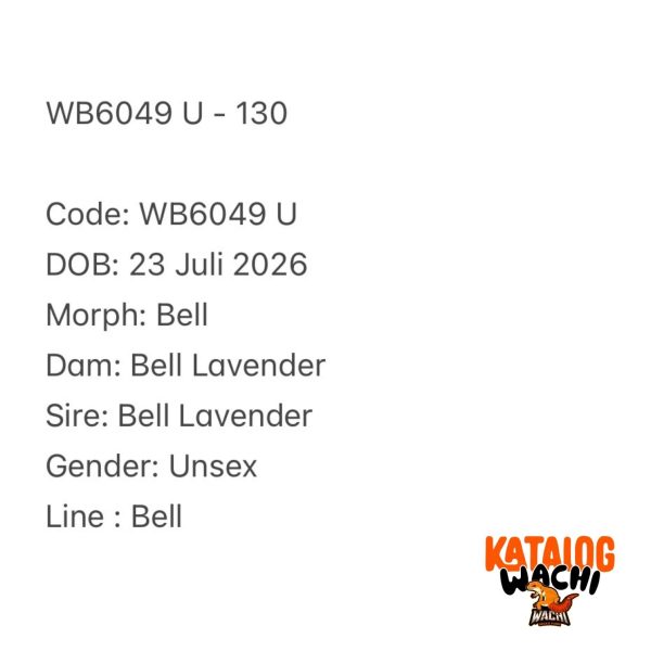 WB6049 U