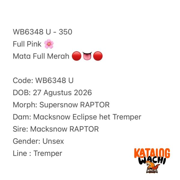 WB6349 U | Cosplay Lebah 🐝